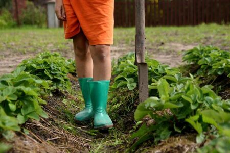 Grow Your Own Food to Enjoy Flavor and Security Image
